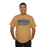 Orisha University Unisex Heavy Cotton Tee - Casual College Style