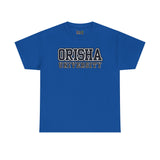 Orisha University Unisex Heavy Cotton Tee - Casual College Style
