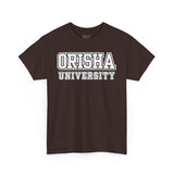 Orisha University Unisex Heavy Cotton Tee - Casual College Style