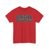 Orisha University Unisex Heavy Cotton Tee - Casual College Style