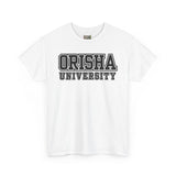 Orisha University Unisex Heavy Cotton Tee - Casual College Style
