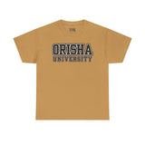 Orisha University Unisex Heavy Cotton Tee - Casual College Style