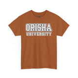 Orisha University Unisex Heavy Cotton Tee - Casual College Style