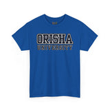Orisha University Unisex Heavy Cotton Tee - Casual College Style